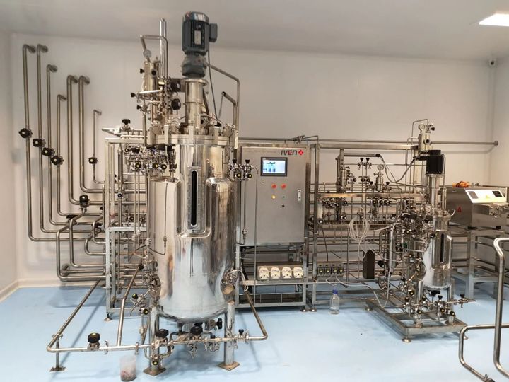 Guide to Modern Bioreactor Systems: Innovations, Applications & Insights for 2025