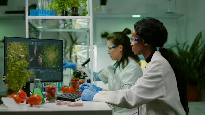 A Guide to Biotechnology Advances in Mexico
