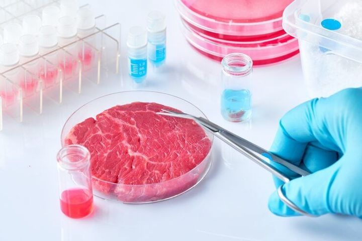 Guide to Lab-Grown Meat: Understanding Sustainable Protein & Future Prospects