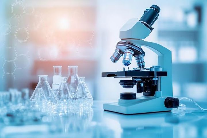 Inside the Heat: A Complete Guide to Lab Furnace Equipment