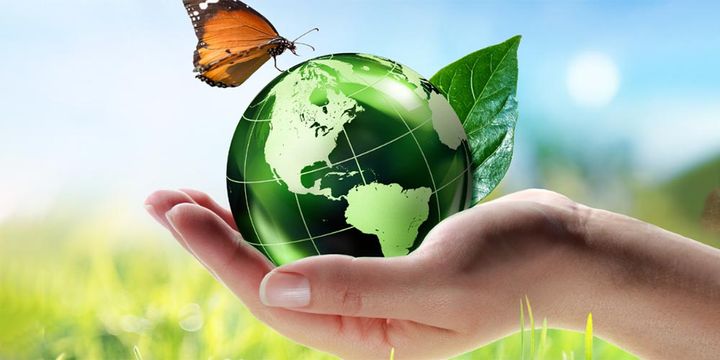 Advanced Tips for Effective & Eco-Friendly Pest Management