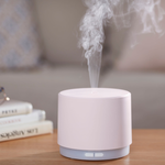 Finding car diffusers at warehouse stores: a shopper's guide